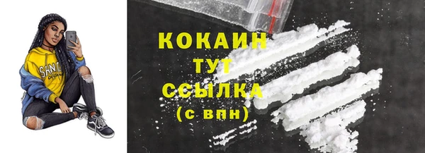 гидра Вяземский
