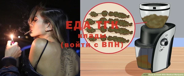 гидра Вяземский