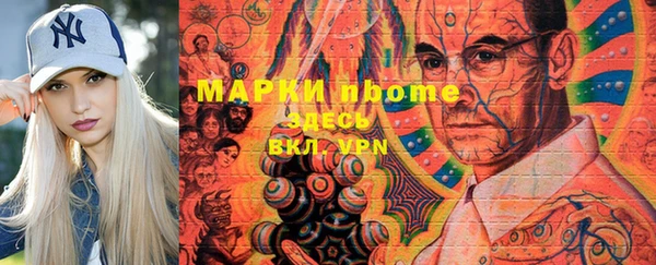 гидра Вяземский