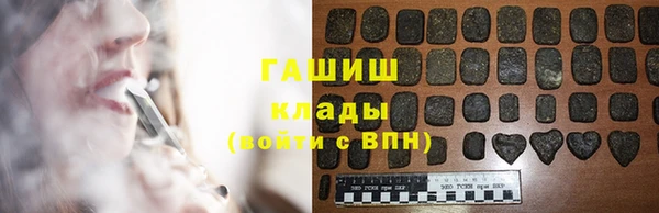 гидра Вяземский