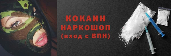шишки Приозерск