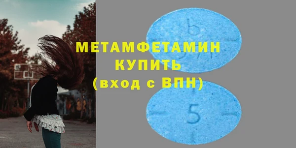 гидра Вяземский