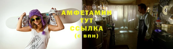 шишки Приозерск