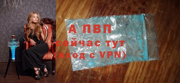 гидра Вяземский