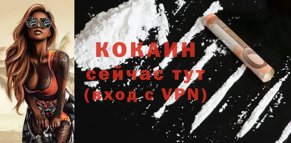 амф Горняк
