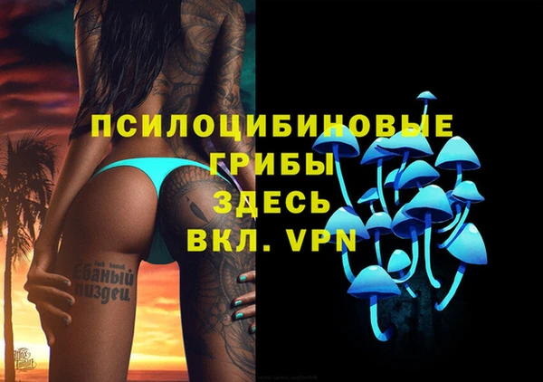 шишки Приозерск