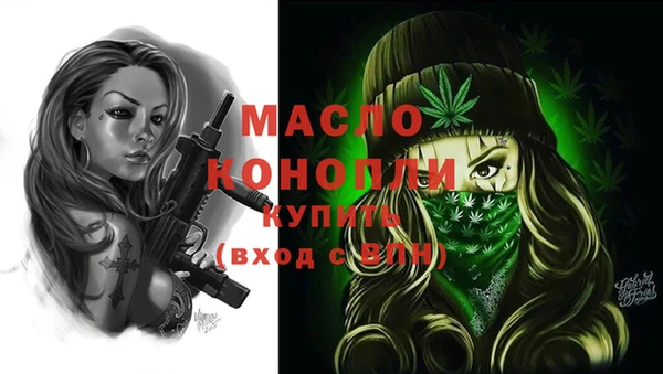 гидра Вяземский