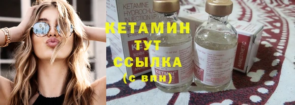 гидра Вяземский