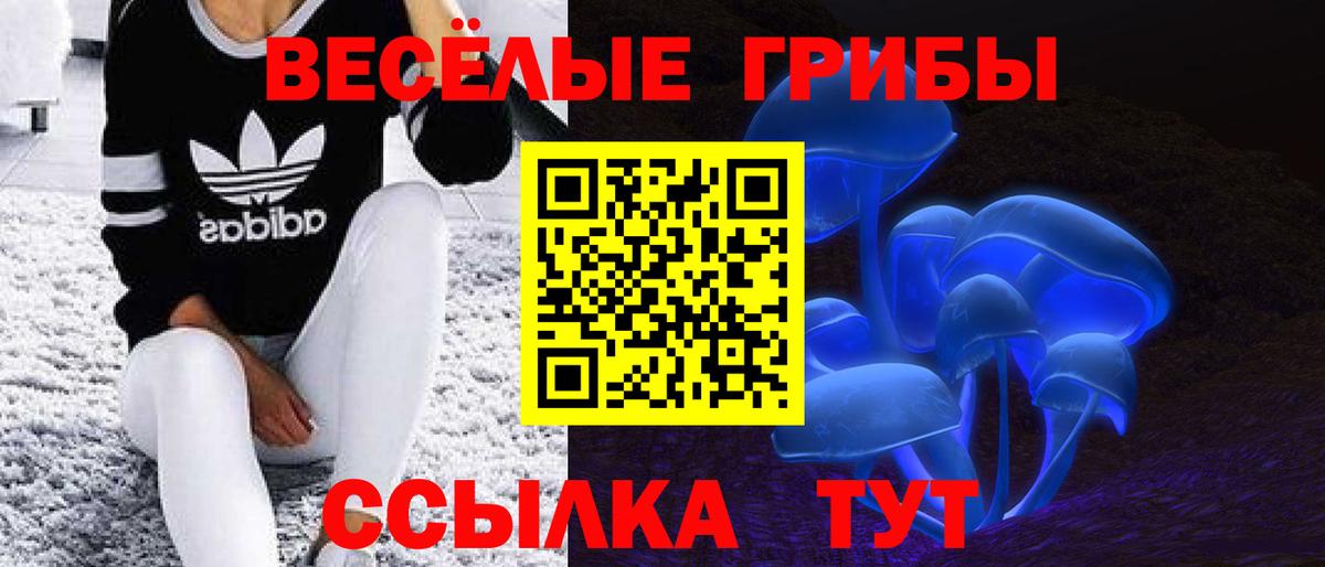 Псилоцибиновые грибы GOLDEN TEACHER  Вход с VPN  Ноябрьск 
